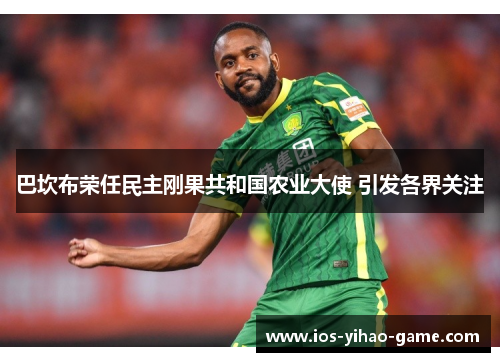 巴坎布荣任民主刚果共和国农业大使 引发各界关注