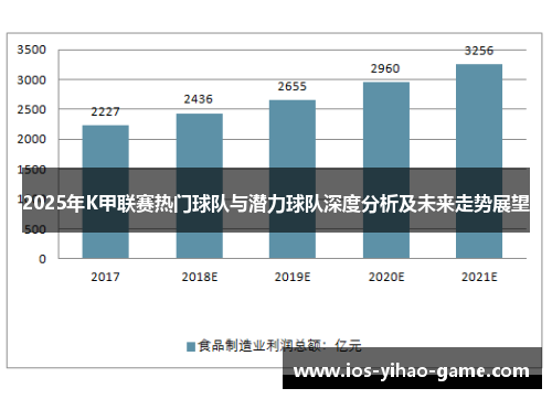 2025年K甲联赛热门球队与潜力球队深度分析及未来走势展望