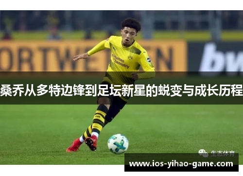 桑乔从多特边锋到足坛新星的蜕变与成长历程
