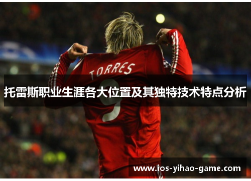 托雷斯职业生涯各大位置及其独特技术特点分析