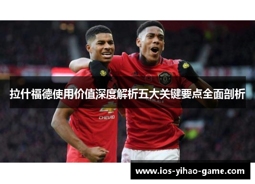 拉什福德使用价值深度解析五大关键要点全面剖析