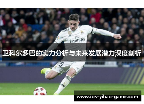 卫科尔多巴的实力分析与未来发展潜力深度剖析 卫科尔多巴的实力分析与未来发展潜力深度剖析