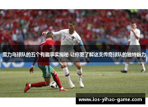 魔力鸟球队的五个有趣事实揭秘 让你更了解这支传奇球队的独特魅力 魔力鸟球队的五个有趣事实揭秘 让你更了解这支传奇球队的独特魅力