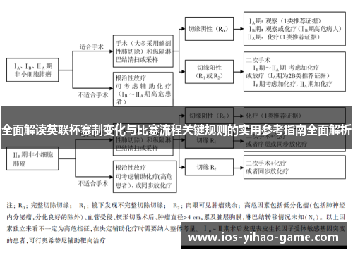 全面解读英联杯赛制变化与比赛流程关键规则的实用参考指南全面解析