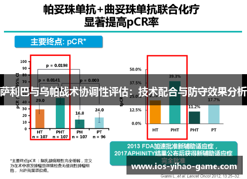 萨利巴与乌帕战术协调性评估：技术配合与防守效果分析